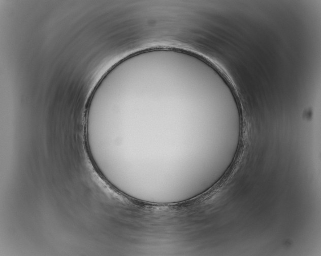 X0000110870903200906181007