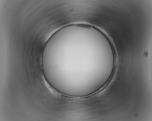 X0000110870905200906181007