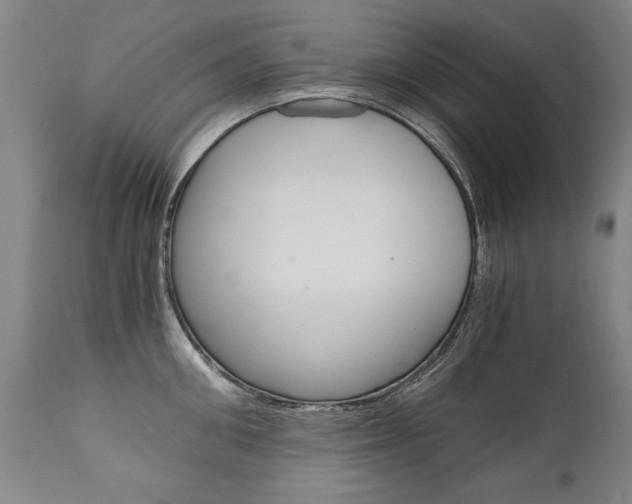 X0000110870906200906181007