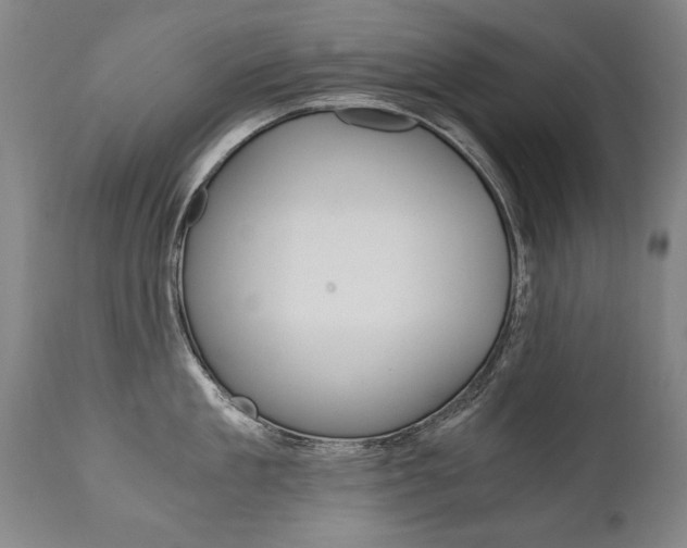 X0000110870909200906181007