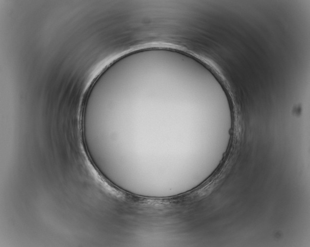 X0000110870910200906181007