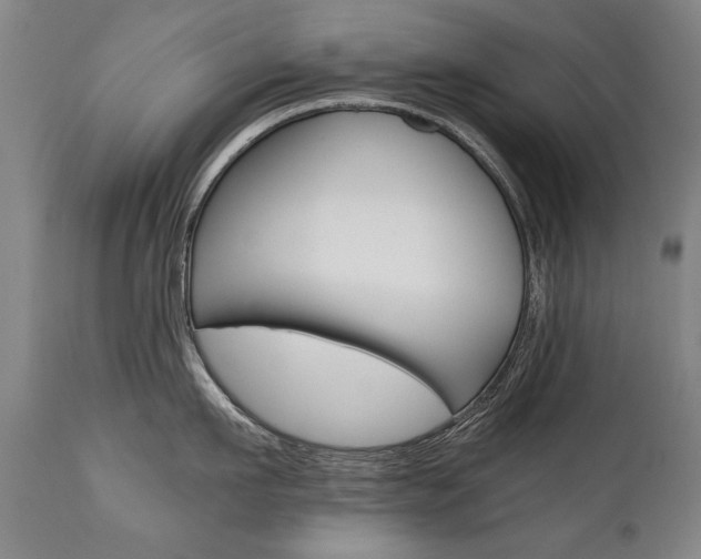 X0000110870911200906181007
