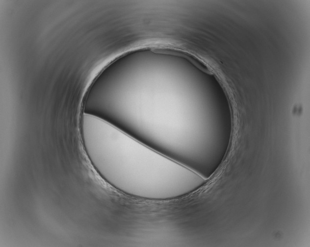 X0000110870912200906181007