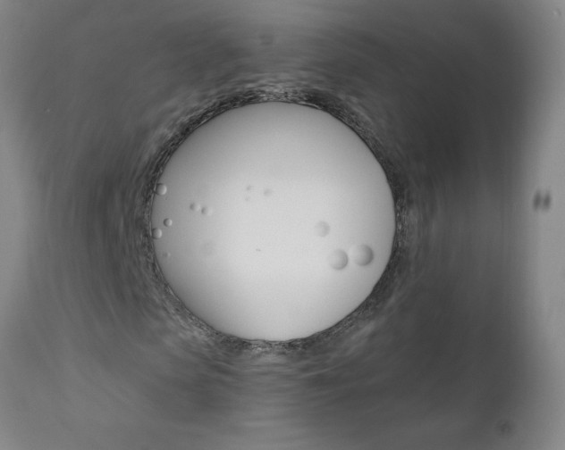 X0000110870913200906181006
