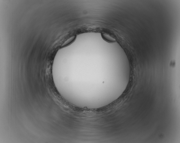 X0000110870914200906181006