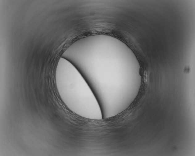 X0000110870915200906181006