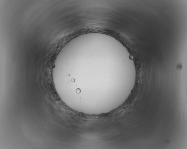 X0000110870917200906181006