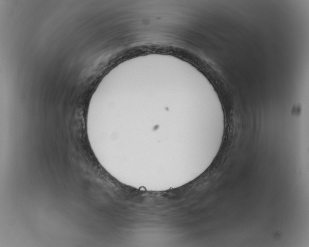 X0000110870918200906181006
