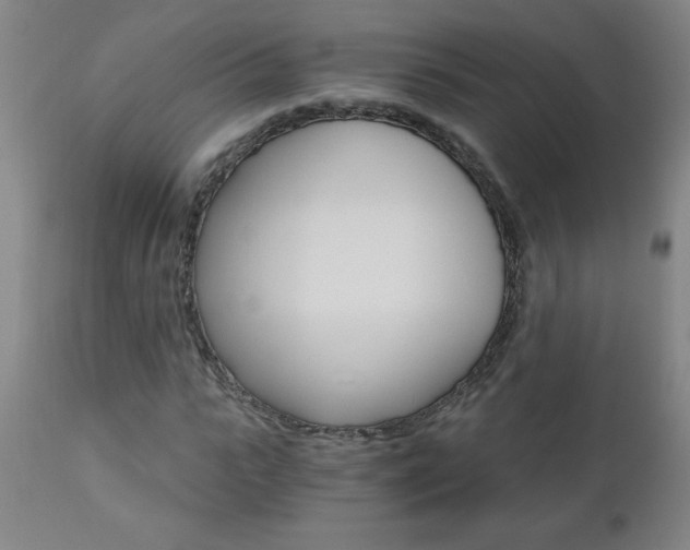 X0000110870919200906181006