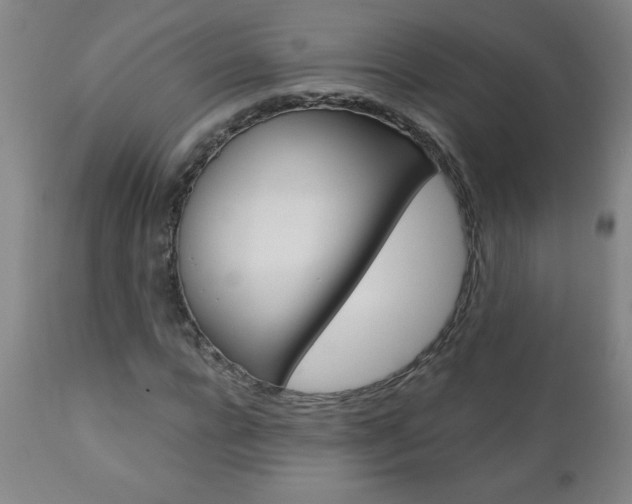 X0000110870920200906181006