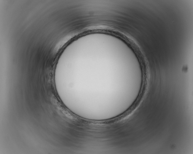X0000110870921200906181006