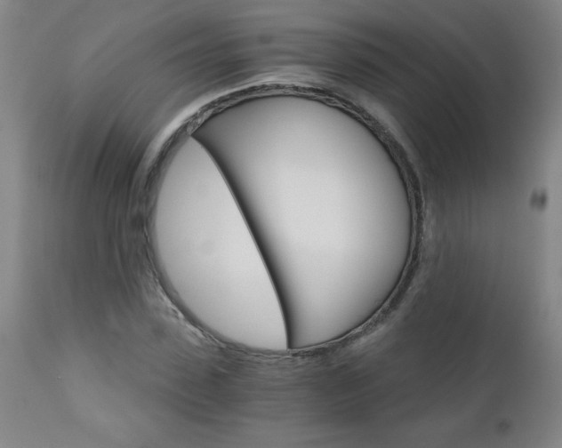 X0000110870923200906181006