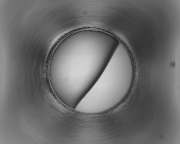 X0000110870924200906181006
