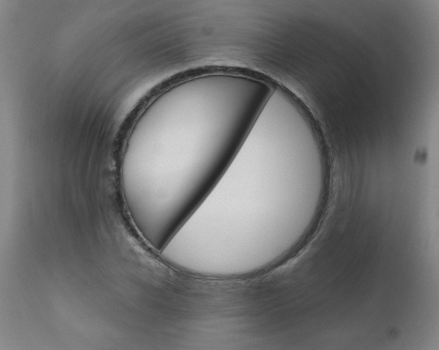 X0000110870926200906181006