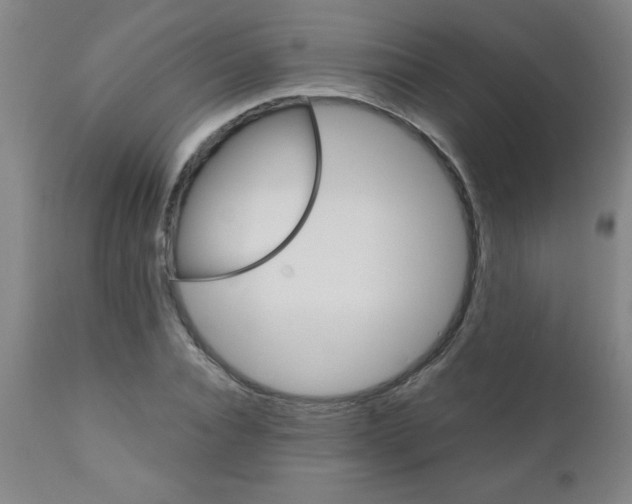 X0000110870928200906181006