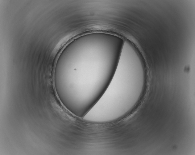 X0000110870930200906181006