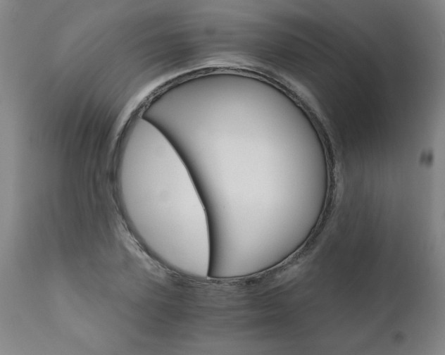 X0000110870931200906181006