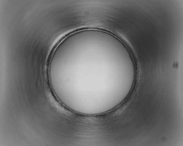 X0000110870932200906181006