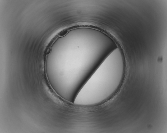 X0000110870934200906181006