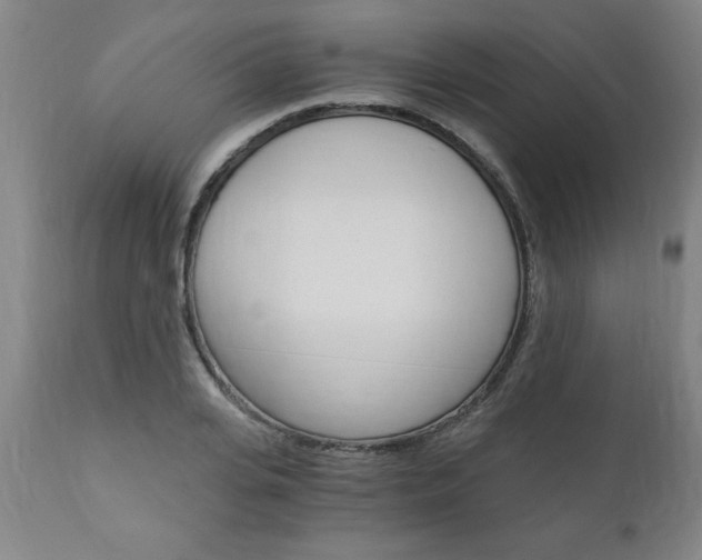 X0000110870935200906181006