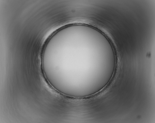 X0000110870936200906181006