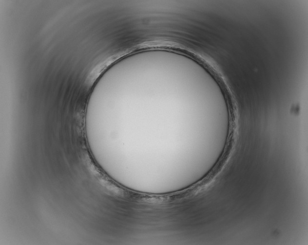 X0000110870937200906181006