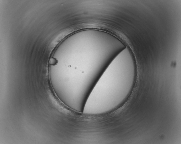 X0000110870938200906181006
