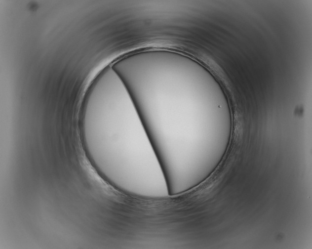 X0000110870939200906181006