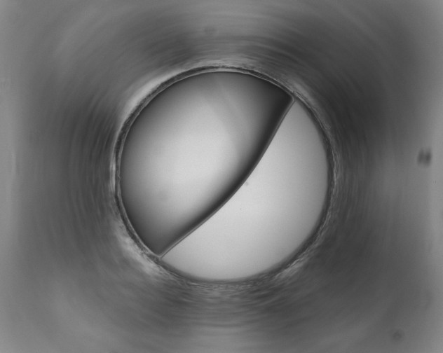 X0000110870940200906181006