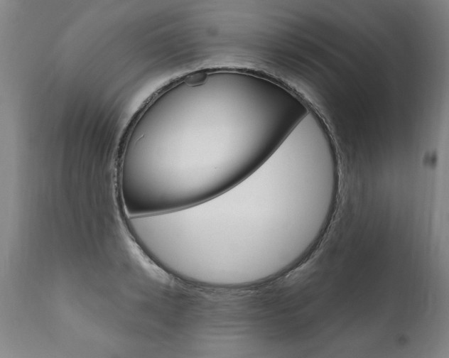 X0000110870942200906181006