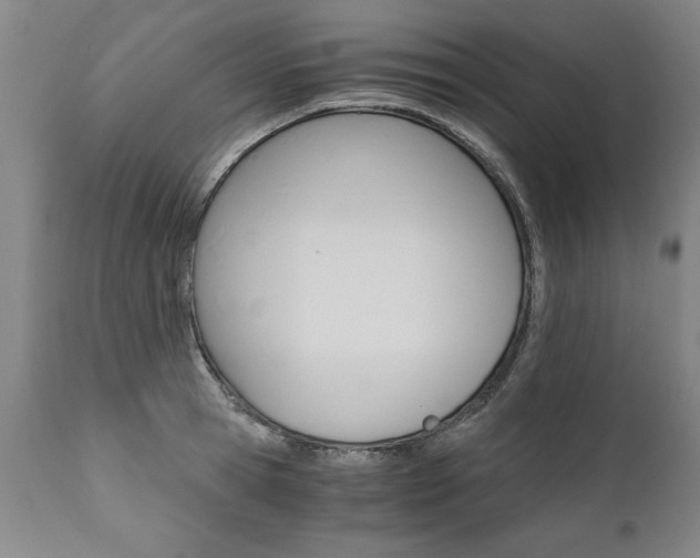 X0000110870945200906181006