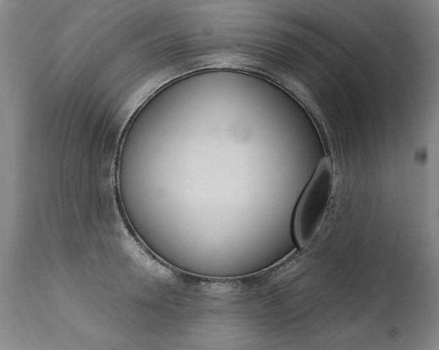 X0000110870946200906181006