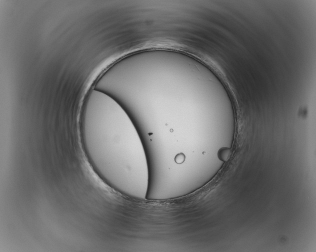X0000110870947200906181006
