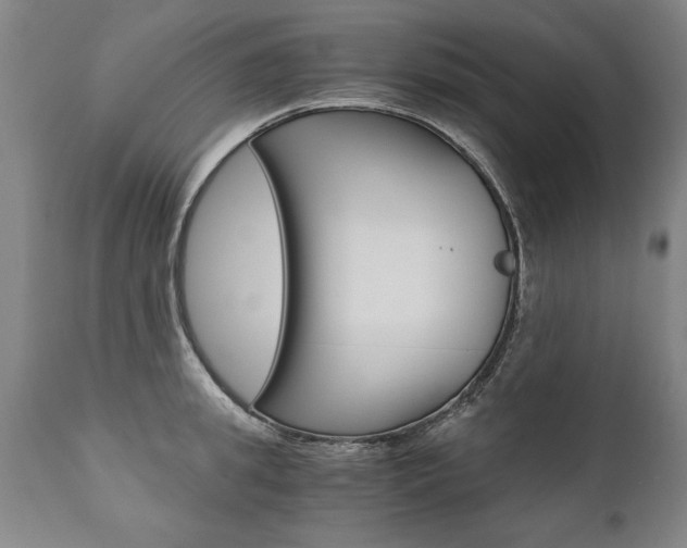X0000110870949200906181006