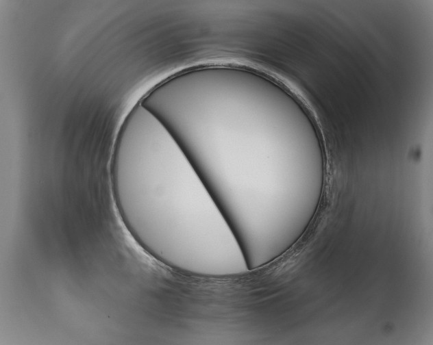 X0000110870951200906181006