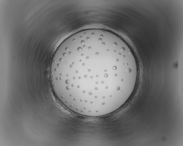 X0000110870953200906181006