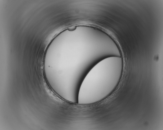 X0000110870954200906181006
