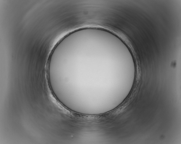 X0000110870958200906181007