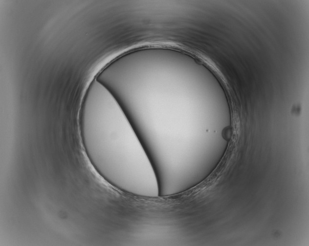 X0000110870959200906181007