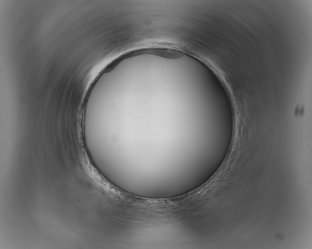 X0000110870960200906181007