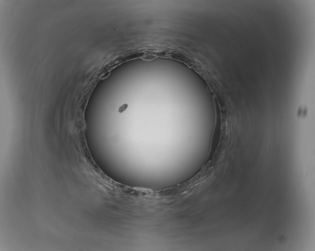 X0000110870961200906181006