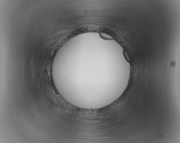 X0000110870962200906181006