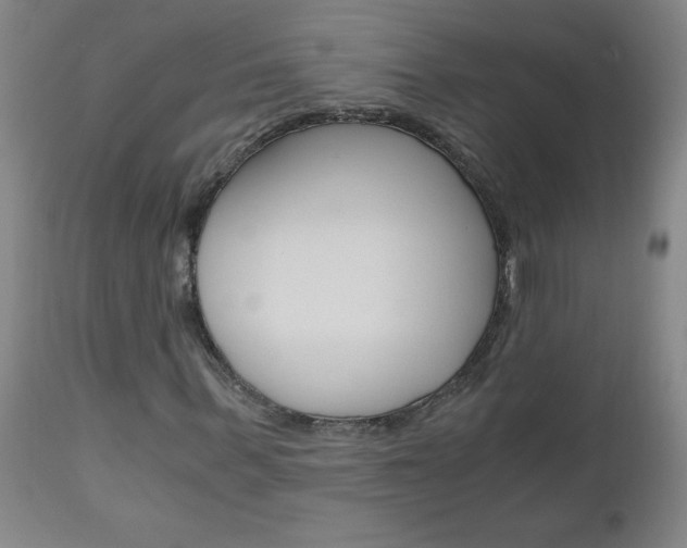 X0000110870963200906181006