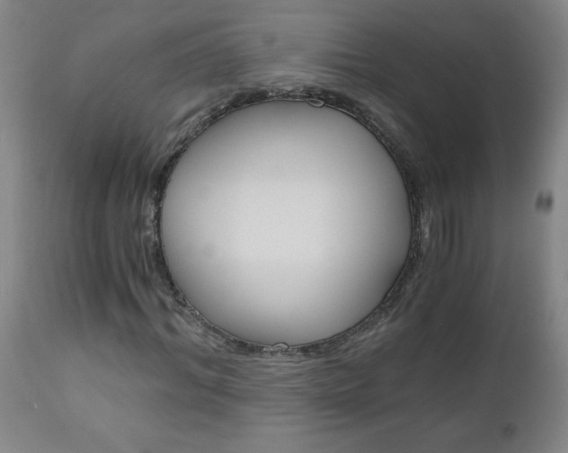 X0000110870964200906181005