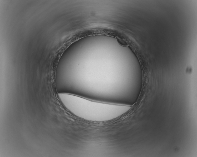 X0000110870965200906181005