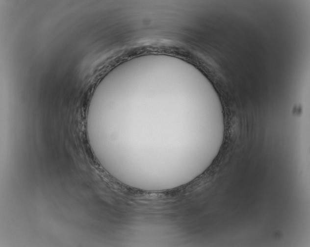 X0000110870966200906181005