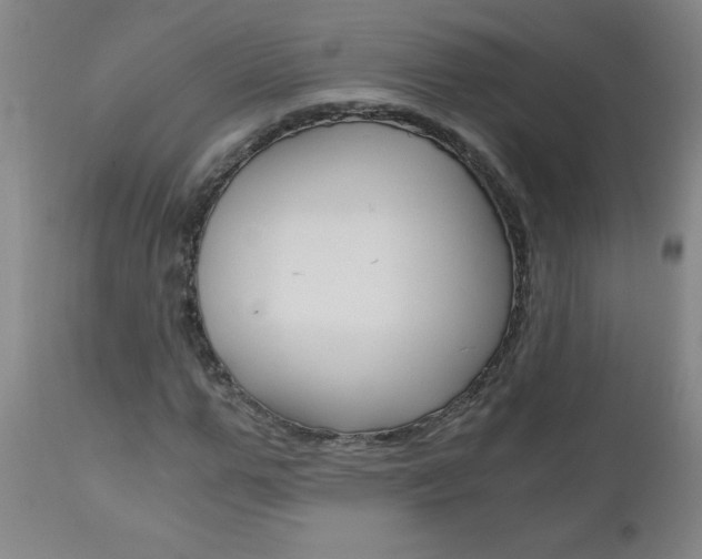 X0000110870967200906181005