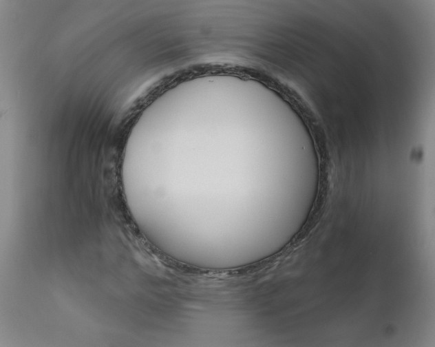 X0000110870968200906181005