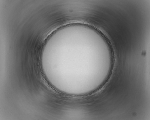 X0000110870969200906181005