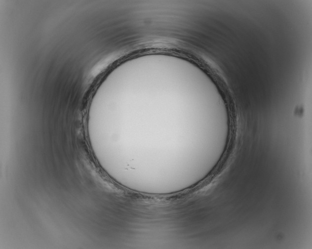 X0000110870970200906181005
